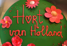 Hart van Hollandcommissie